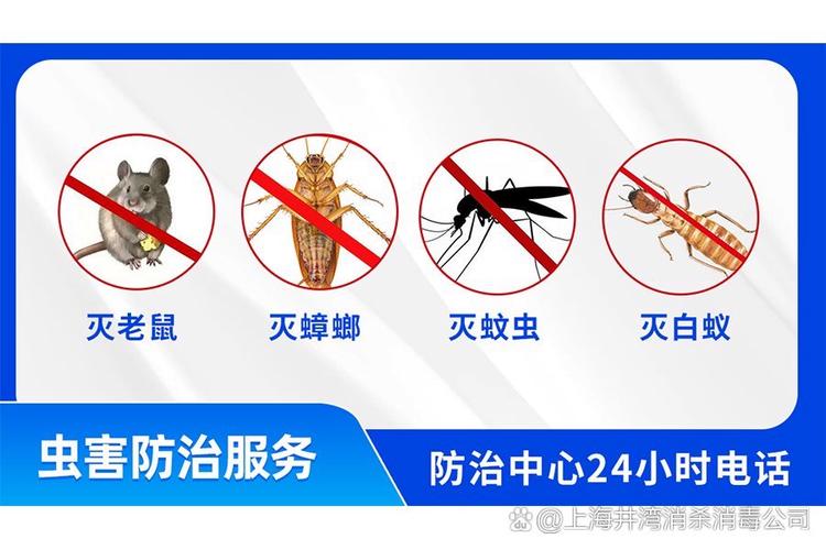 专业除四害消杀服务 上海井湾生物科技公司为您的健康保驾护航