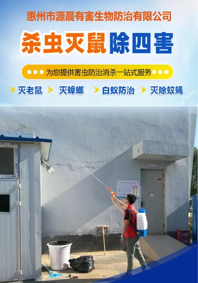 惠州博罗县专业白蚁防治与四害消杀服务 先进设备助力健康家园