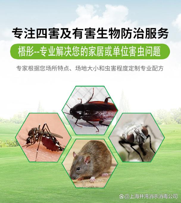 上海城市消杀公司 专业除四害，快速灭老鼠、蜈蚣、臭虫、螨虫