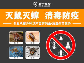 除四害消杀公司、白蚁消杀、灭苍蝇、灭臭虫、灭跳蚤、消毒杀菌、除虫灭鼠