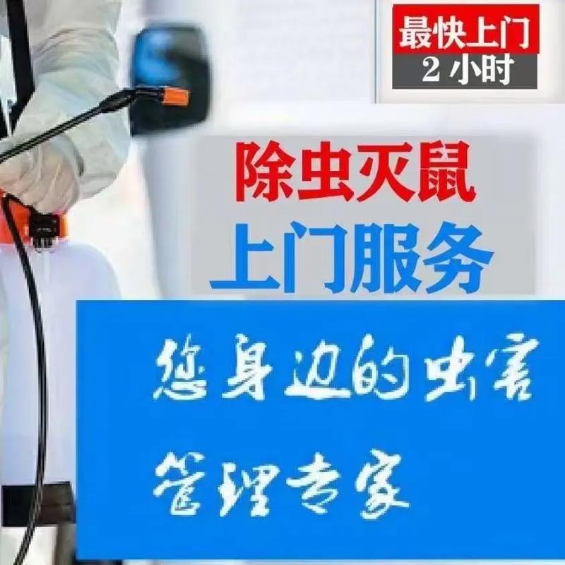 苏州餐饮店灭鼠杀虫灭蟑螂灭蚂蚁灭白蚁防治 专业四害消杀服务全指南