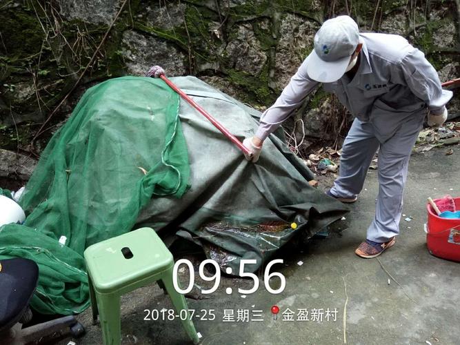 大浪街道除四害消杀工作简报