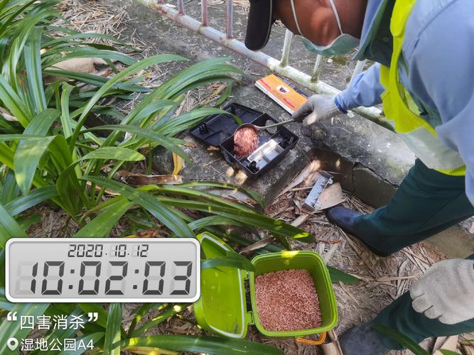 湿地公园10月12日四害消杀工作情况报告